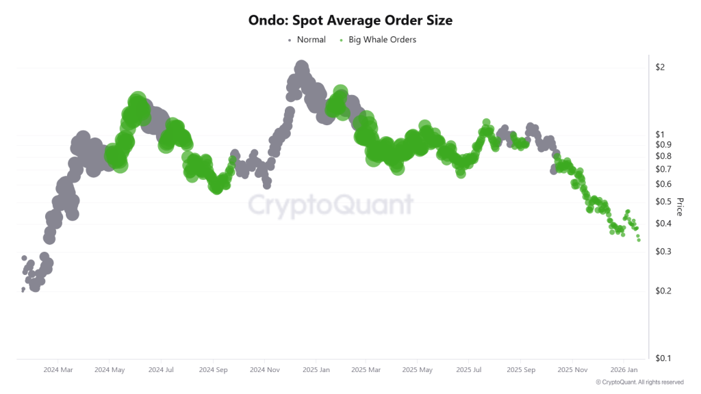 Ondo Spot Avg Order Size