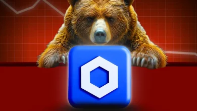 Chainlink Whales Accumulate as LINK Price Slips Below $13—Is the Bottom Still Ahead