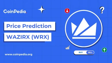 WazirX Coin Price