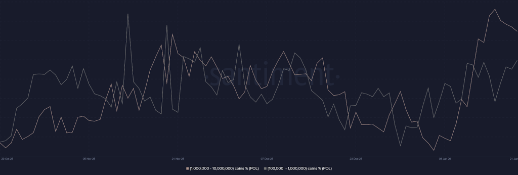 POL Network Activity