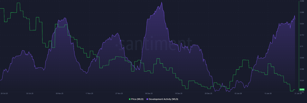 Worldcoin On Chain Activity