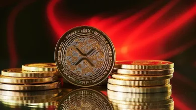 XRP Holds $1.48 as Traders Call Market Bottom