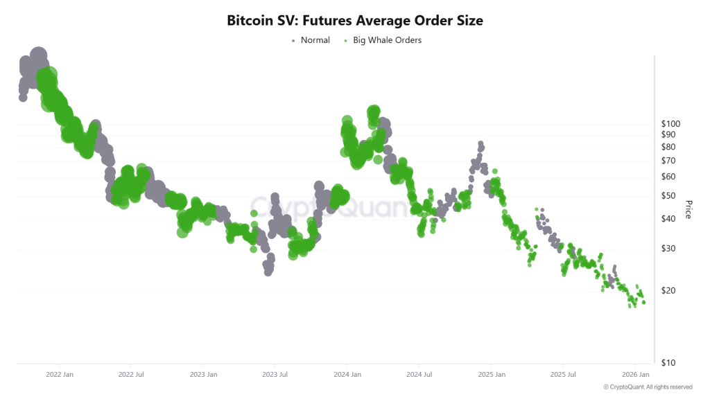 Bitcoin SV Futures Avg Order Size
