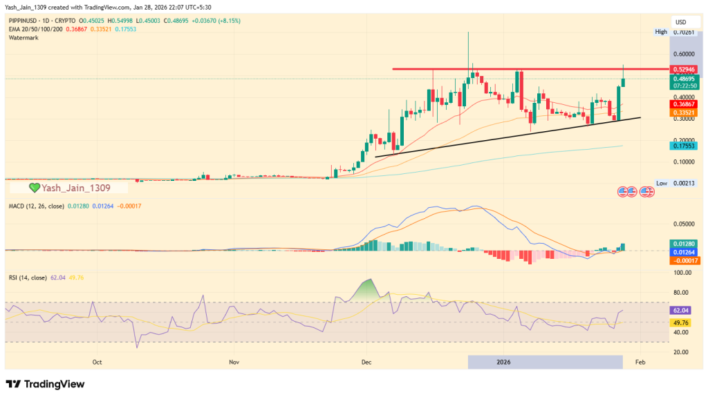 Today’s Top Crypto Gainers: PIPPIN and HYPE Lead as Volume and Structure Align
