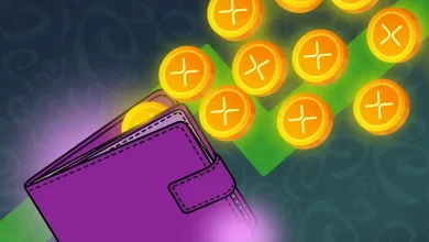 XRP Millionaire Wallets Rise for the First Time Since September—What It Means for Price