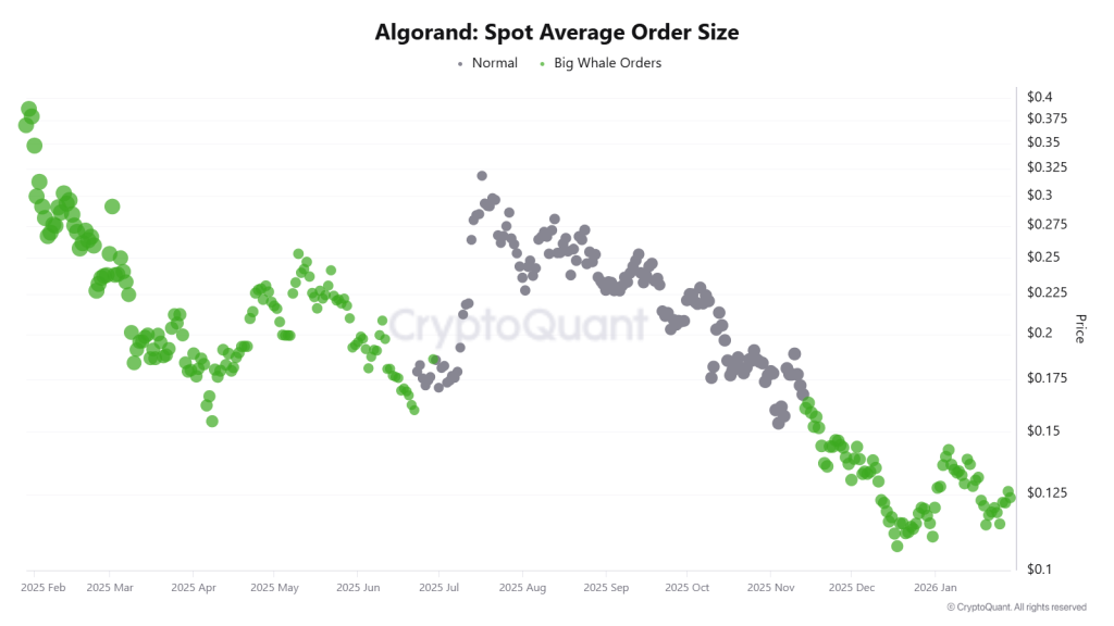 AVAX Onchain Outlook