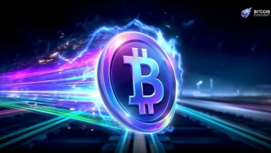 bitcoin-everlight (3)