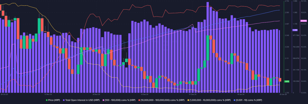 Crypto Market Today Turns Red But LTH Data Signals Structural Stability
