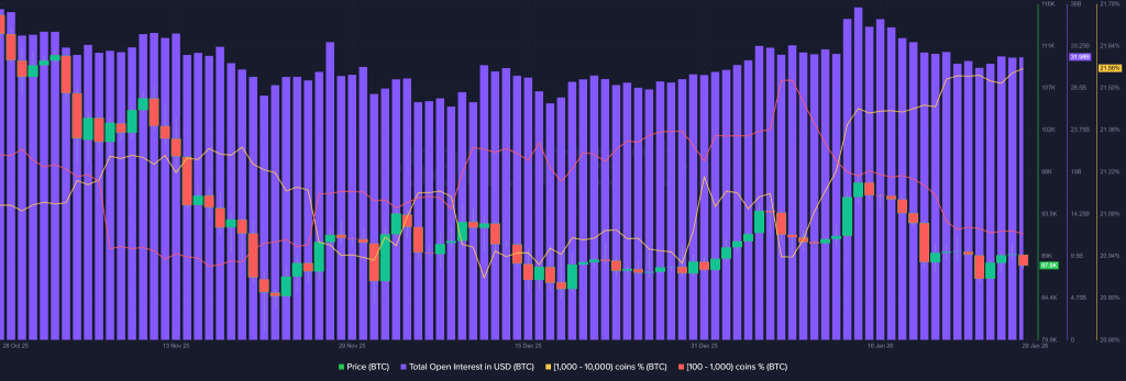 Crypto Market Today Turns Red But LTH Data Signals Structural Stability