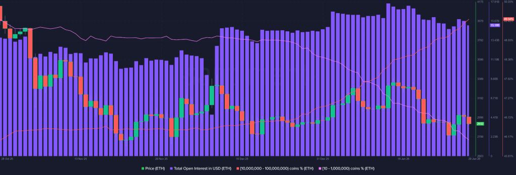 Crypto Market Today Turns Red But LTH Data Signals Structural Stability