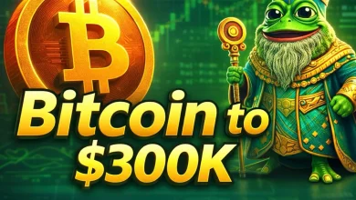 bitcoin-300k