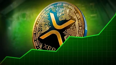 XRP Price Rally Ahead Key On-Chain Data and Technicals Say Yes