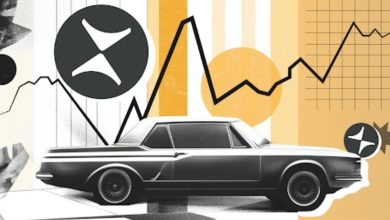 Solana meme coins (10)