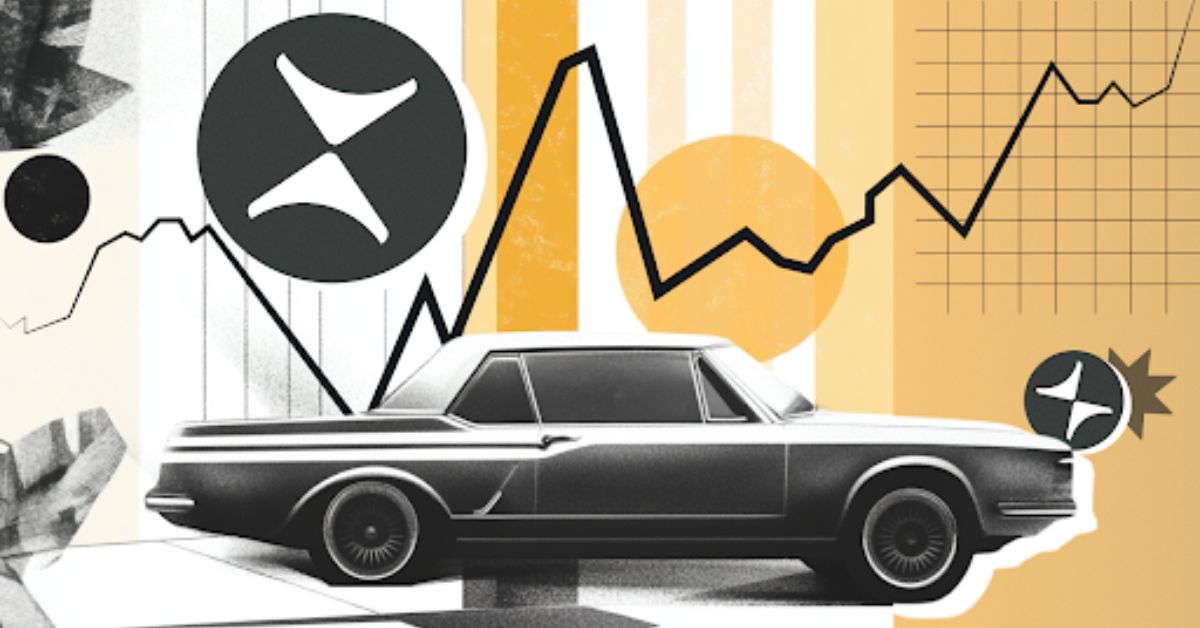 Solana meme coins (10)