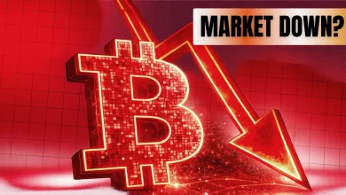 Why is the Crypto Market Down Today