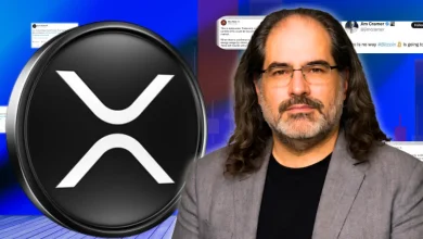 David Schwartz Comments as Old Epstein Claims Drag Ripple and XRP Back Into Focus