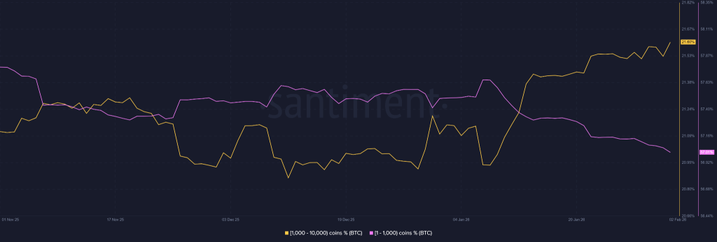 BTC Price Enters a Reset Phase After $74,500 Crash Shakes Market Structure
