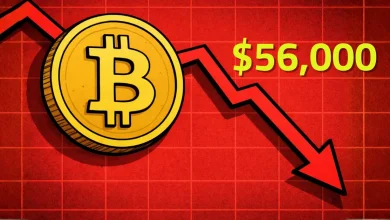 Bitcoin Price Could Fall to $56,000, Warns Galaxy Digital Head