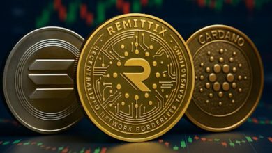 Solana meme coins (12)