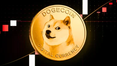 Dogecoin Price Today Jumps After Elon Musk Comment
