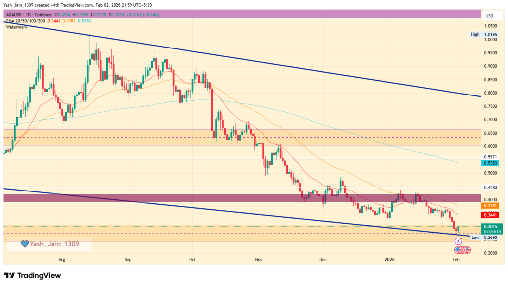 ADA price February outlook