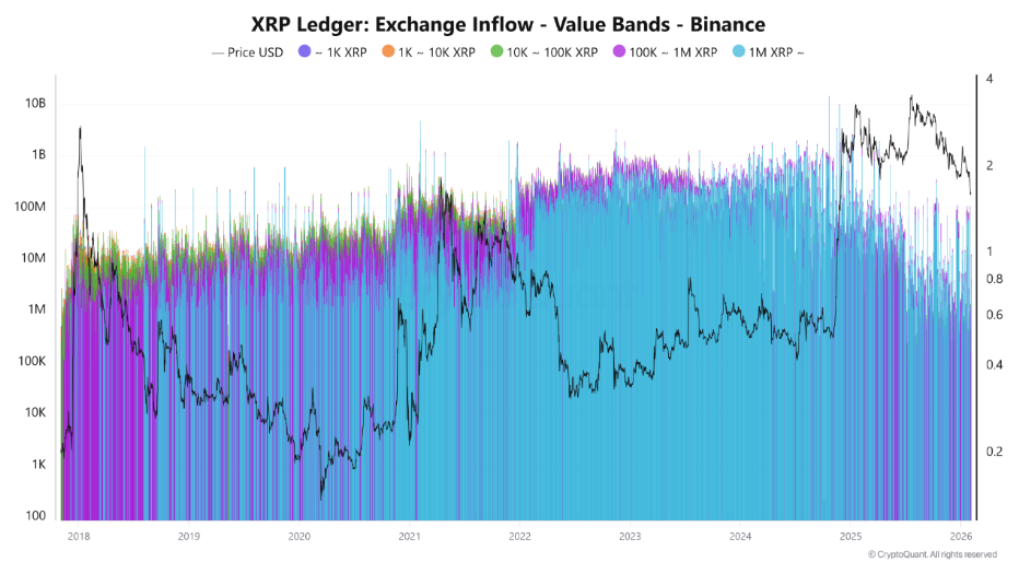 XRP whale flows
