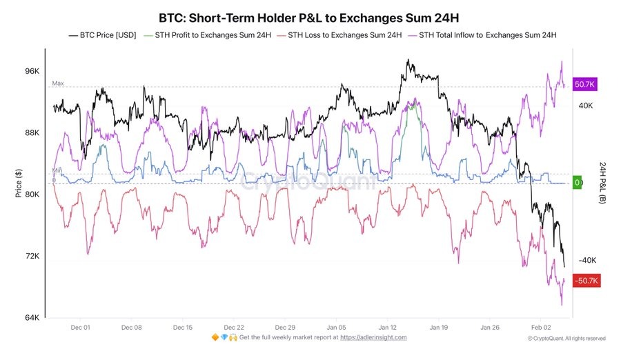 bitcoin short term holder