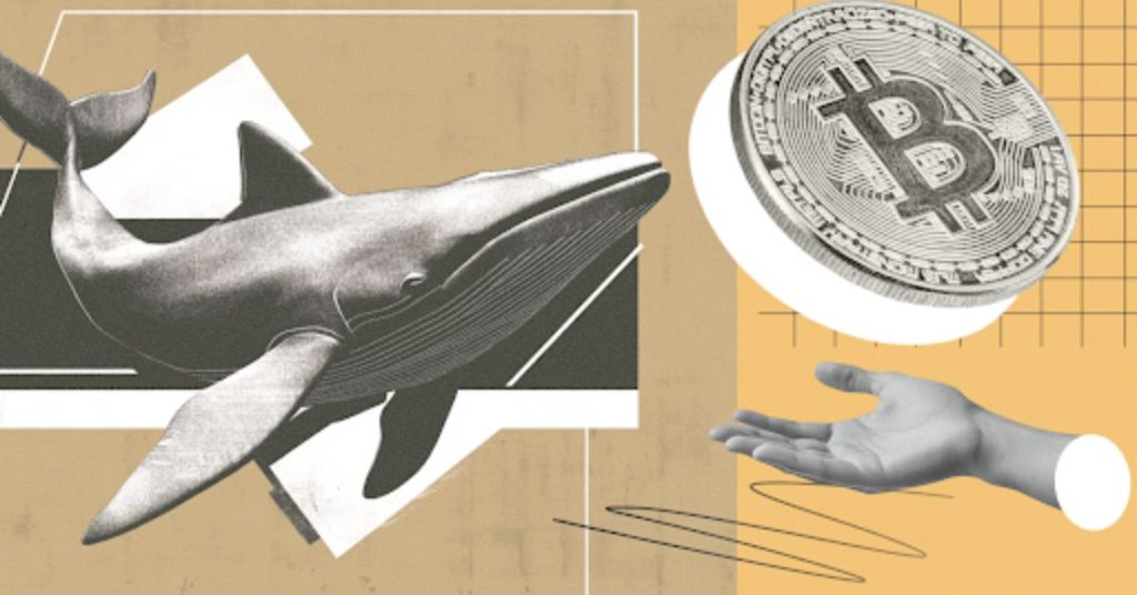 Bitcoin Price Sweeps 2025 USD Lows, As Some Investors Are Starting to Look Elsewhere for Returns