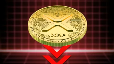 Why XRP Price Is Falling Today—Can Bulls Defend $1 Support