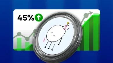 Pippin Price Explodes 45% After Long Consolidation Is a New Uptrend Starting