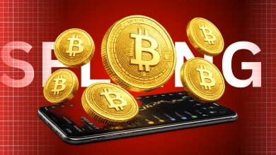 Who’s Really Selling Bitcoin Bitwise CIO Reveals What ETF Flows Show