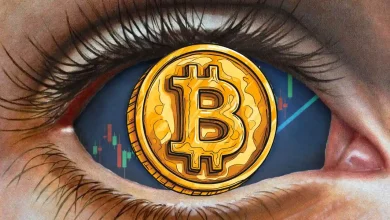 Bitcoin Stabilises, Yet Traders Remain Sceptical-Here’s What Next for BTC Price Rally
