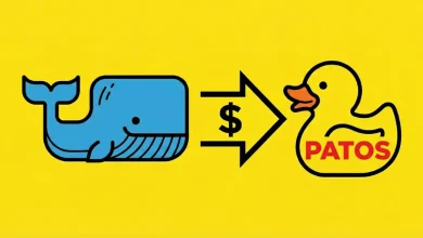 patos-memecoin
