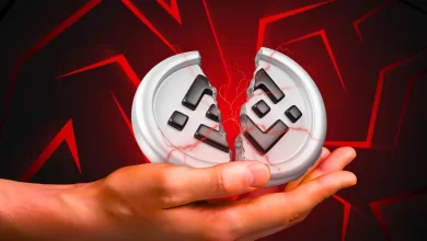 BNB Price Breakdown Accelerates as Bearish Flag Targets Lower Levels