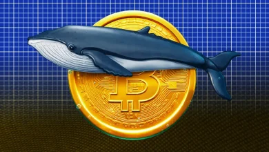 Satoshi Era Bitcoin Whale Wallet Buys 7000 BTC After 14 Years