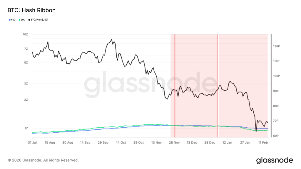 Does Rising Hashrate Signal a Recovery in Bitcoin Price or Are Miners Still Capitulating?
