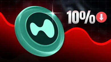 Hyperliquid (HYPE) Price Eyes 10% Pullback—Is a Short Squeeze Set Up in Play
