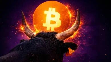 Bitcoin Next Bull Run Likely in 2026, CryptoQuant Reveals