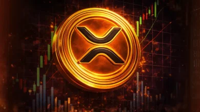 Why Is XRP Price Outperforming Bitcoin After the 2026 Crypto Crash