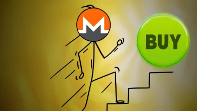 Monero (XMR) Price Signals Possible Bottom as TD Sequential Flashes Buy
