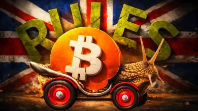 U.K. Crypto Rules Moving Too Slowly, Agant CEO Warns