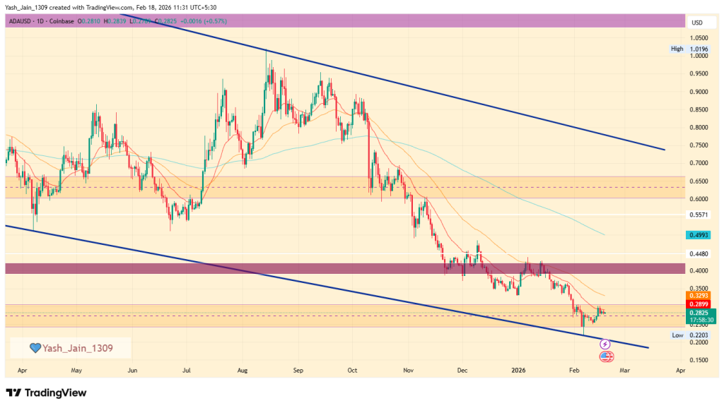 ADA price February outlook