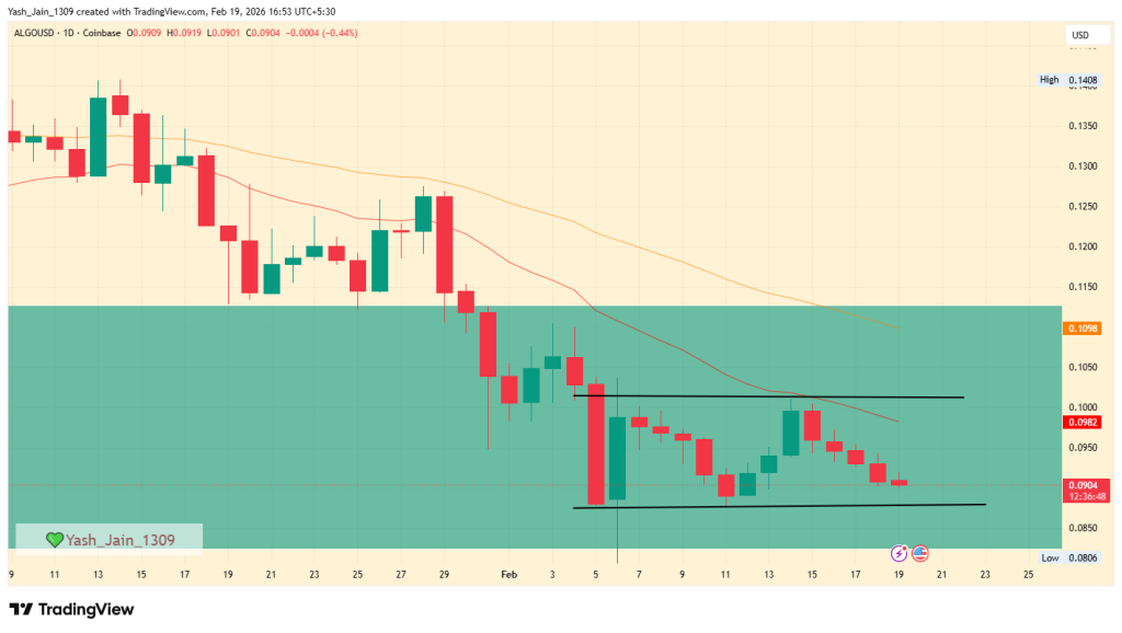ALGO February Outlook 2026