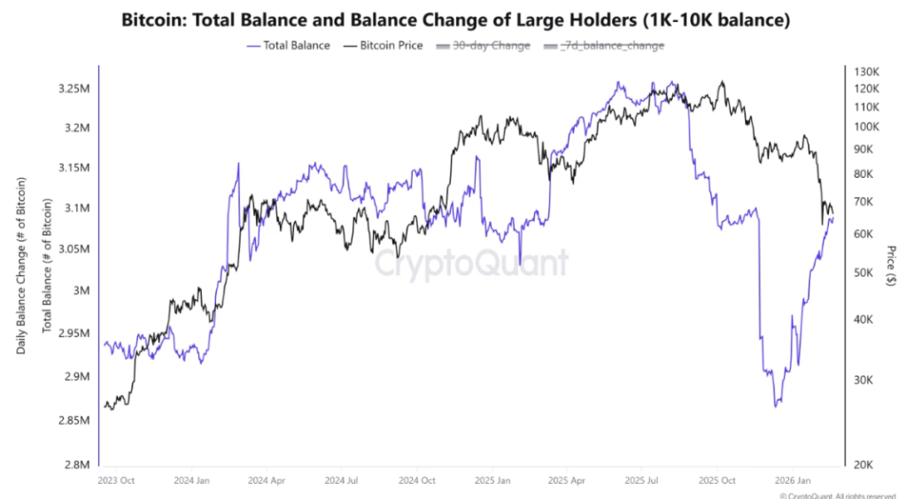 BTC large holders data