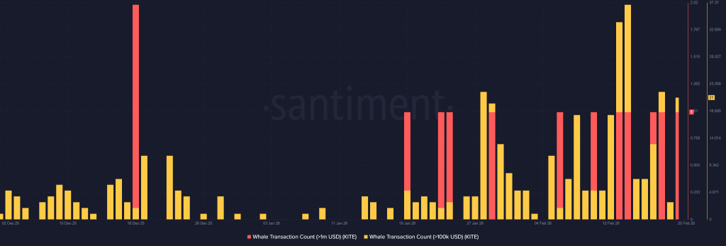 KITE crypto On-Chain Data Signals Aggressive Expansion as Whale Activity and Volume Surge
