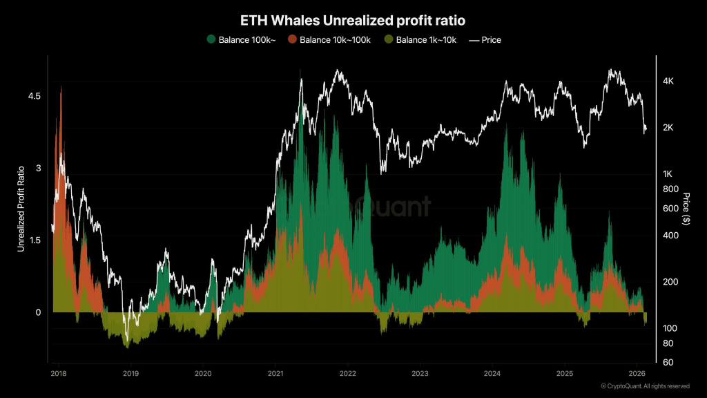 Unrealized Profit Ratio