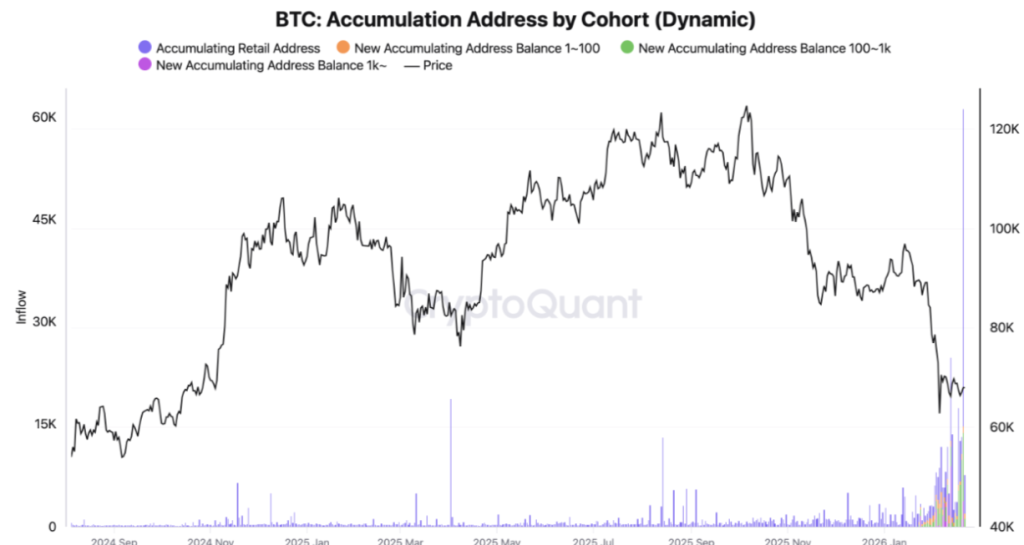 BTC accumulation address