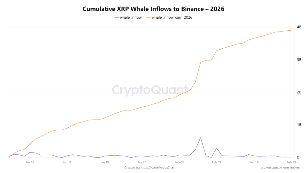 Is XRP Price Facing $45 Million Whale Dump Risk?