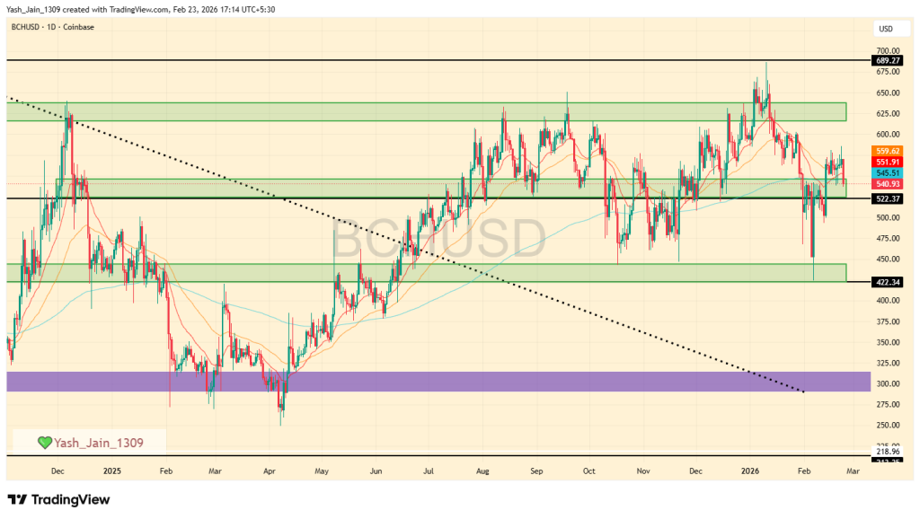 BCH price prediction February 2026