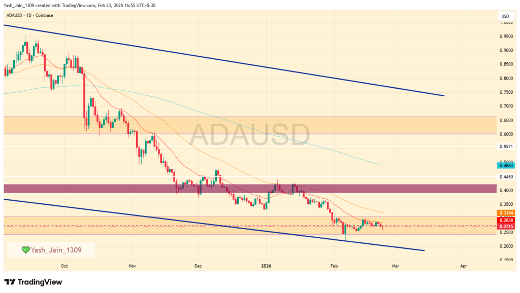 ADA price February outlook